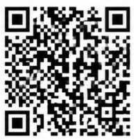 QR Prysm