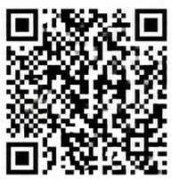 QR Prysm